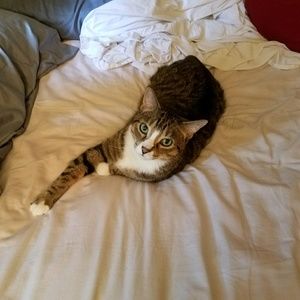 Meet your Posher, Hailey